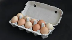 Are you storing eggs wrong? These 8 tips will keep them fresh longer