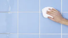 Stubborn Mold in Tile Grout Will Disappear: Proven DIY Cleaning Method