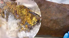 He kept a 4.6-billion year old treasure at home for years, thinking it was just gold