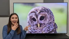 QLED vs. OLED TVs: What’s the Difference and Which One Should You Buy?