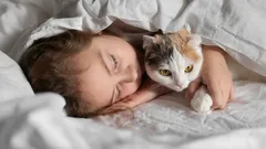Sign of Love or Something More? Why Your Cat Sleeps in Your Bed
