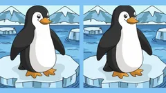 Attention test: find 3 differences in the picture of a penguin on ice in 15 seconds