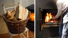 This Firewood Burns the Longest: Expert Reveals the Most Cost-Effective Way to Heat Your Home