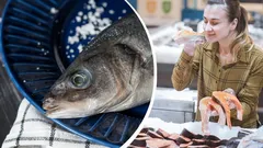 How to choose fresh fish in the store: signs that only sellers notice